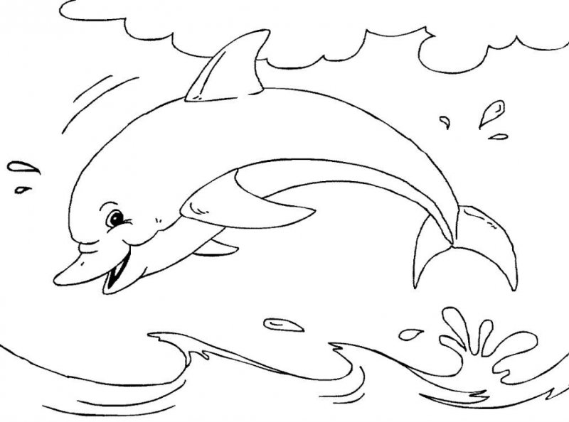 Delfino · 35, disegno da colorare