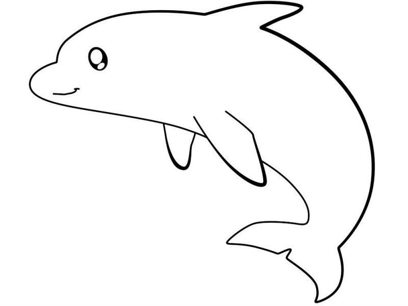 Delfino · 38, disegno da colorare