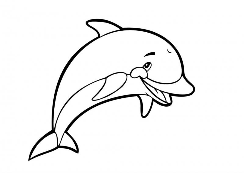 Delfino · 39, disegno da colorare
