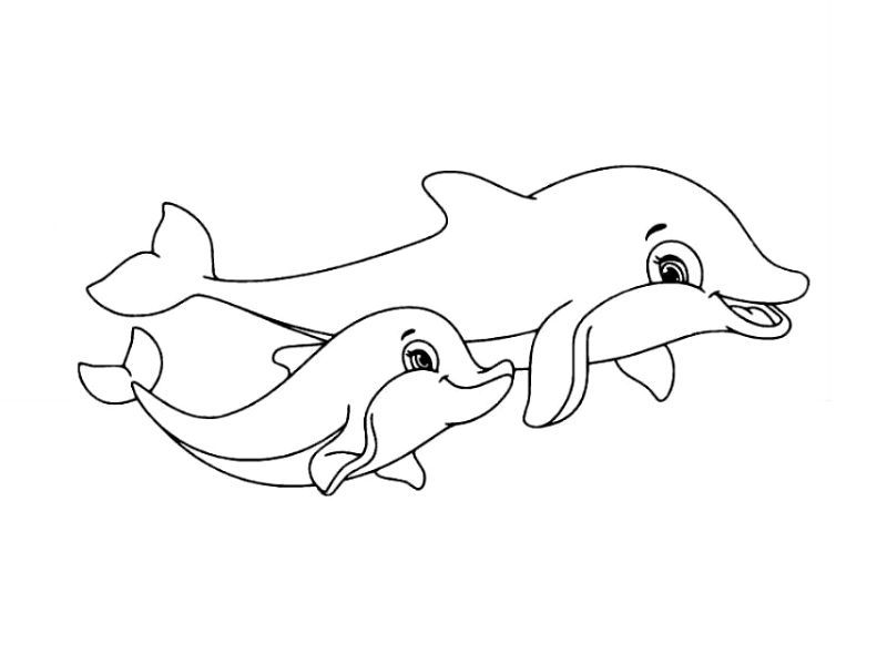 Delfino · 11, disegno da colorare