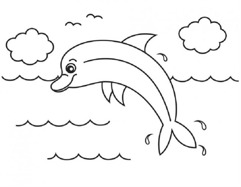 Delfino · 4, disegno da stampare e colorare