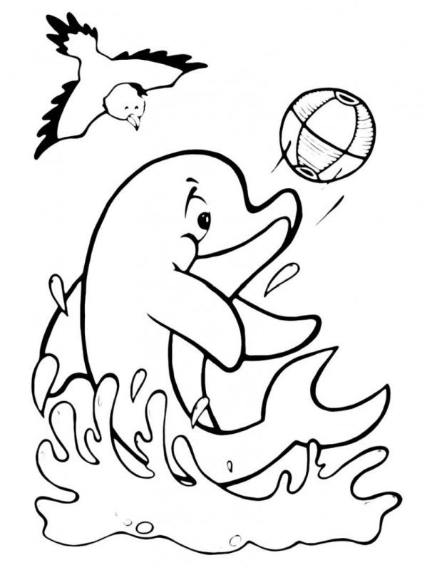 Delfino · 5, disegno da stampare e colorare
