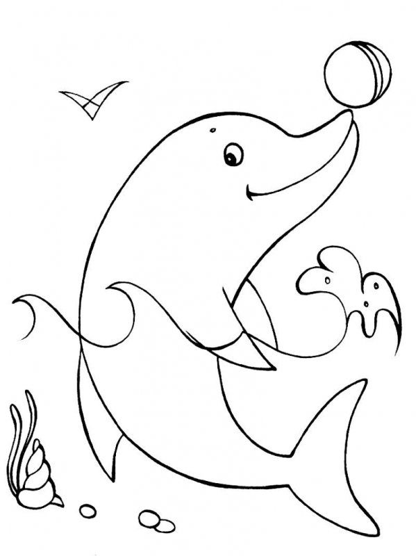 Delfino · 7, disegno da colorare