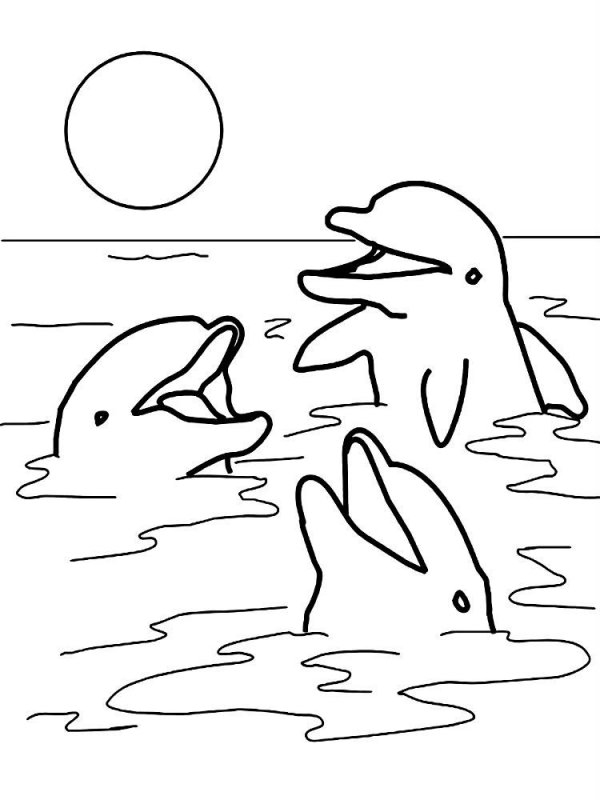 Delfino · 8, disegno da colorare