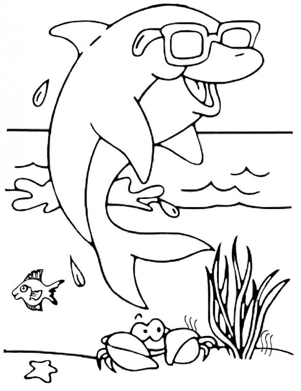 Delfino da colorare