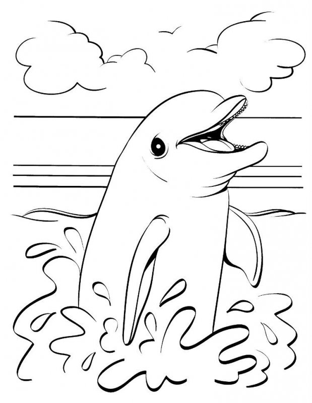 Delfino · 2, disegno da stampare e colorare
