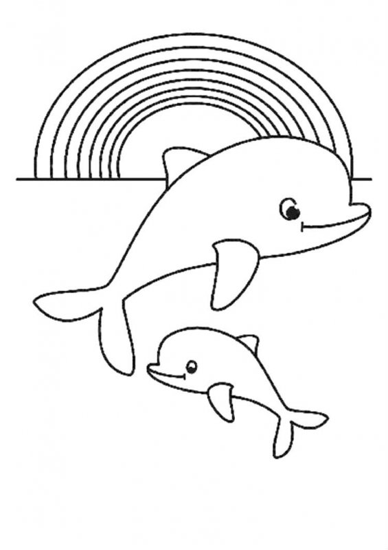 Delfino · 12, disegno da colorare