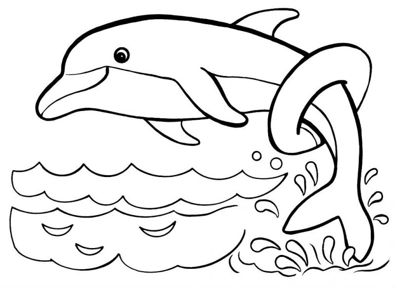 Delfino · 13, disegno da colorare