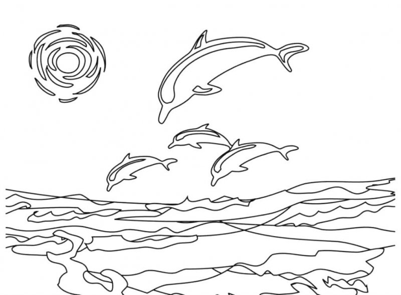 Delfino · 15, disegno da colorare