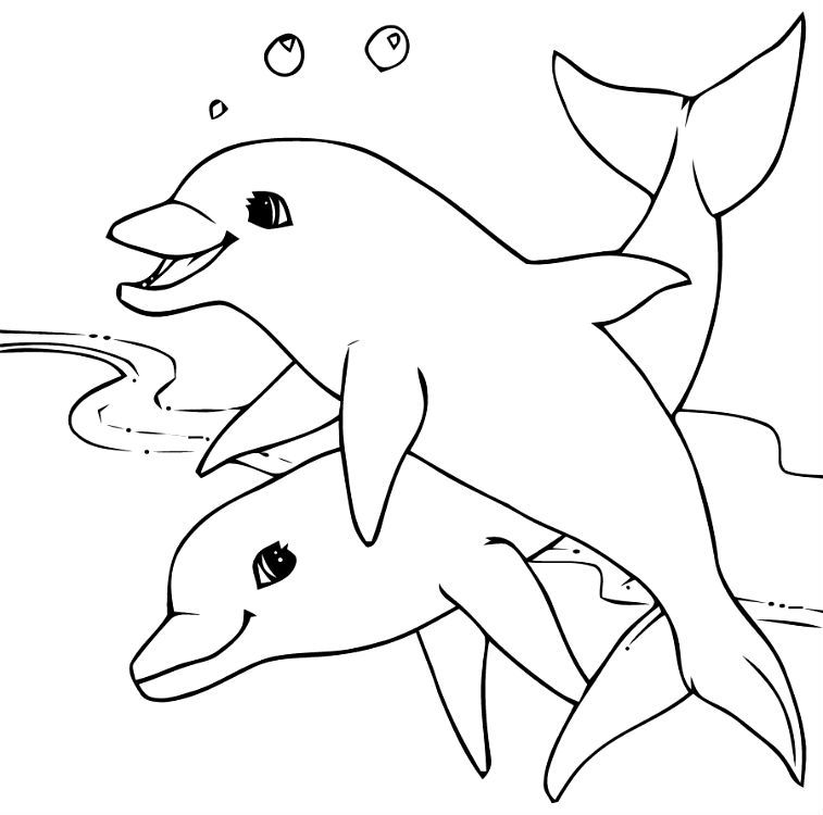 Delfino · 18, disegno da colorare