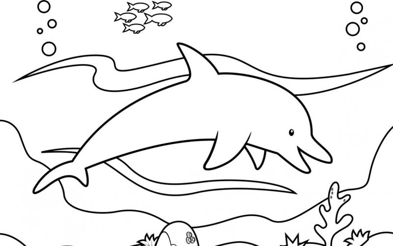 Delfino · 1, disegno da stampare e colorare