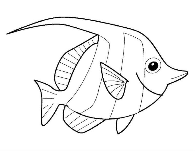 Pesci · 21, disegno da stampare e colorare
