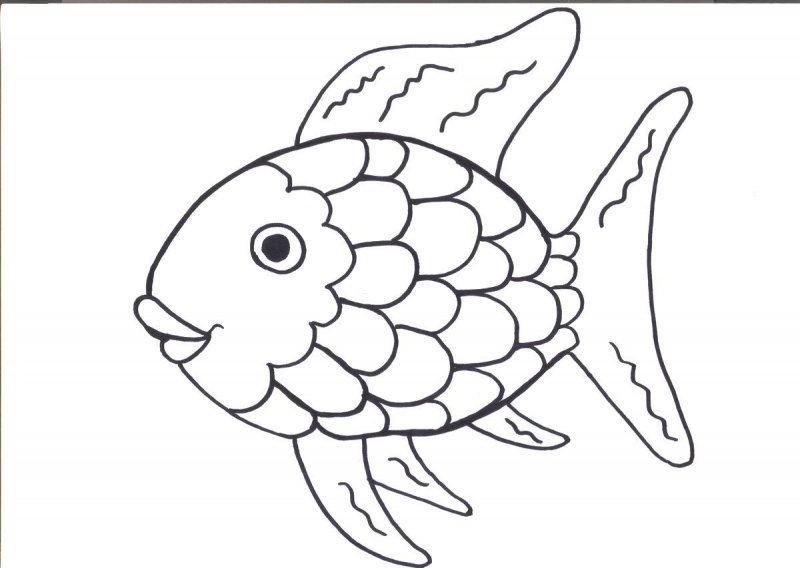 Pesci · 26, disegno da stampare e colorare
