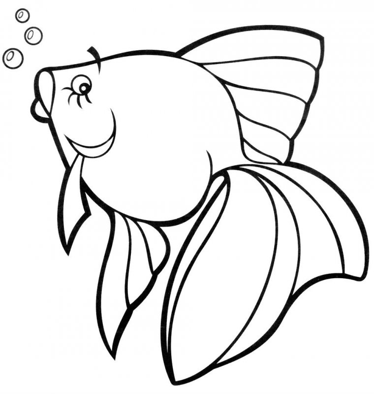 Pesci · 20, disegno da stampare e colorare