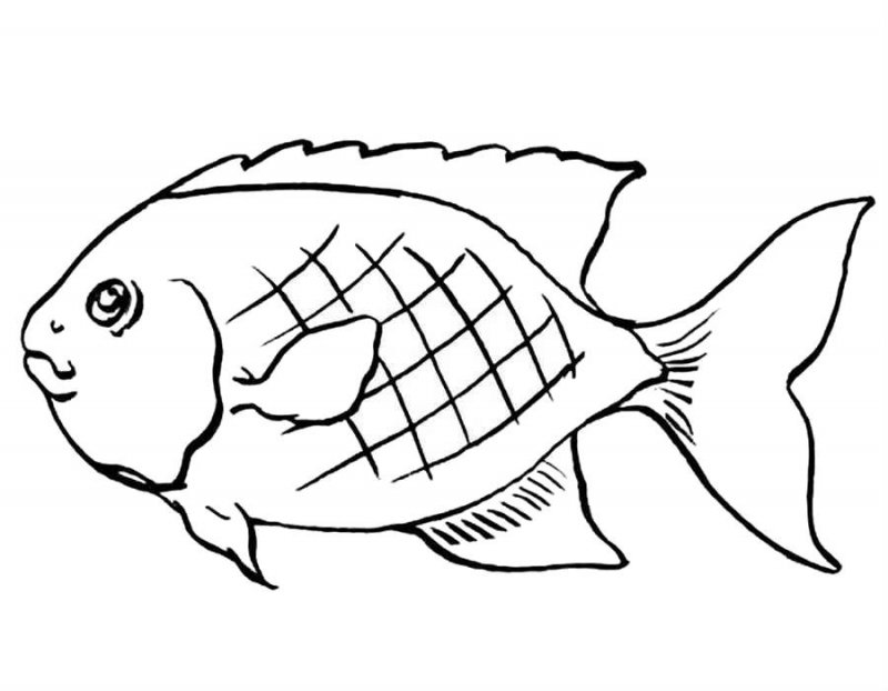 Pesci · 30, disegno da stampare e colorare
