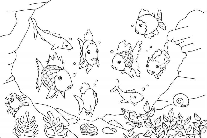 Pesci · 6, disegno da stampare e colorare