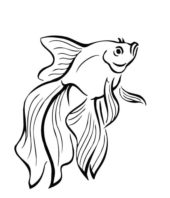 Pesci · 11, disegno da stampare e colorare