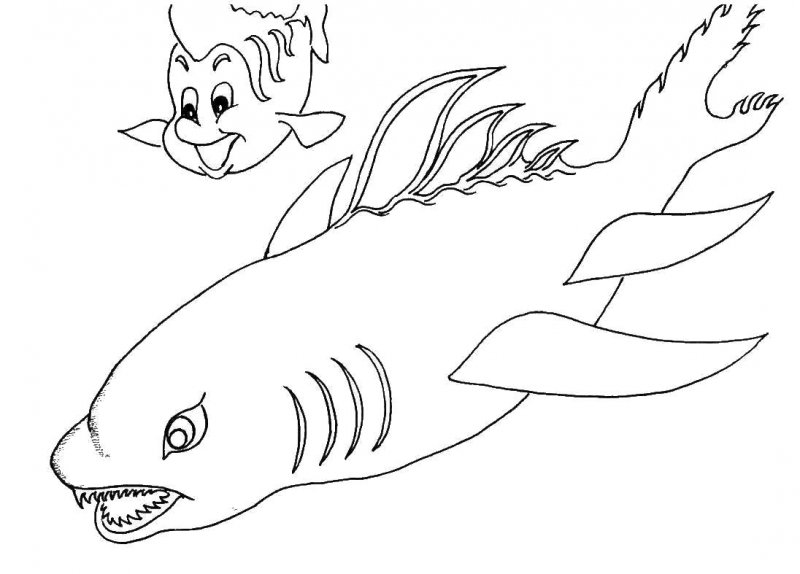 Pesci · 14, disegno da colorare