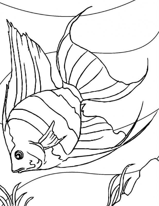 Pesci · 1, disegno da stampare e colorare