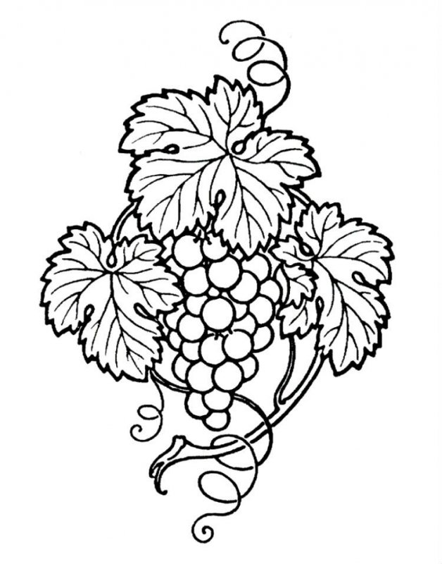 Uva · 1, disegno da stampare e colorare