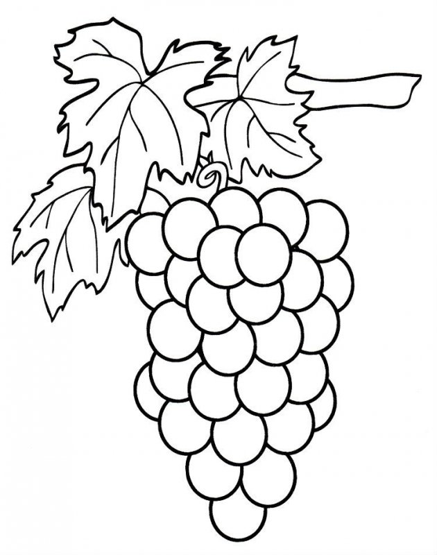 Uva · 11, disegno da colorare