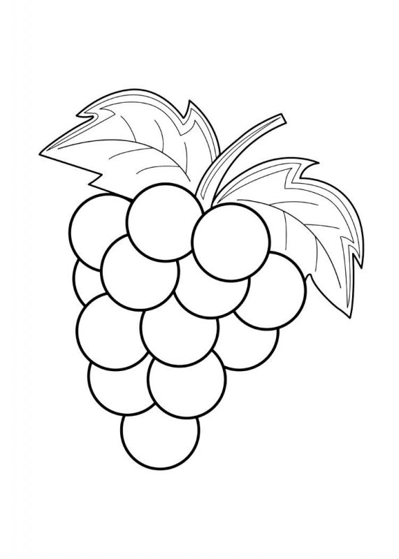 Uva · 18, disegno da colorare