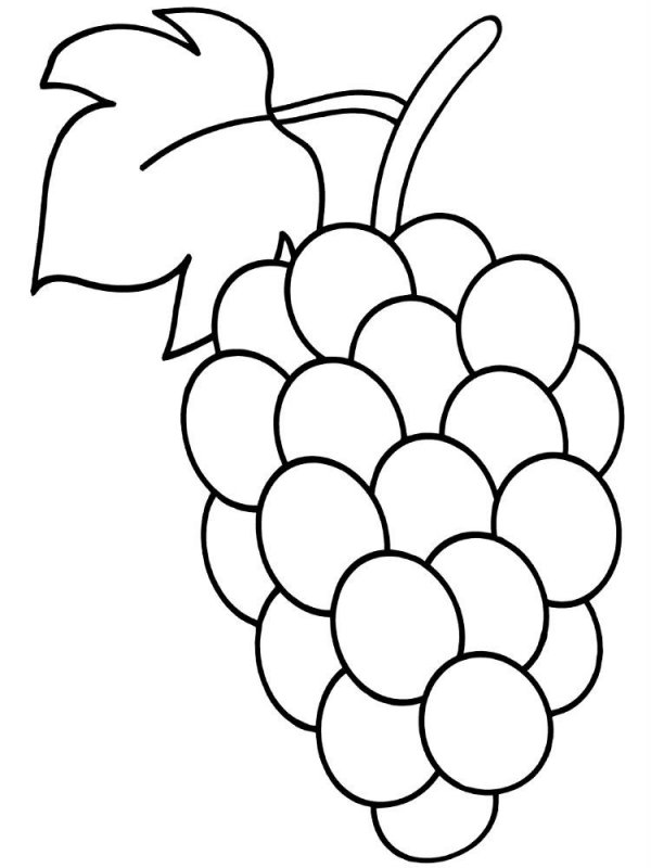 Uva · 17, disegno da colorare