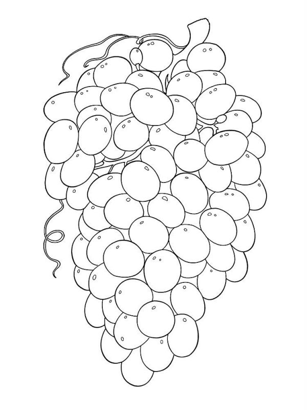 Uva · 13, disegno da colorare
