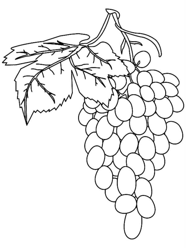 Uva · 10, disegno da colorare