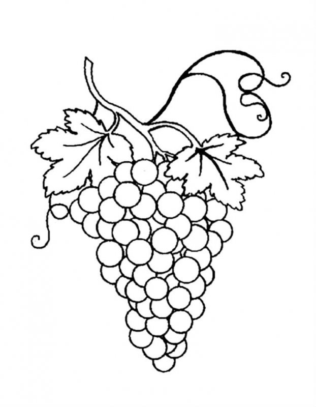 Uva · 9, disegno da colorare