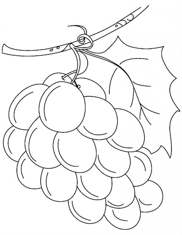 Uva · 8, disegno da colorare