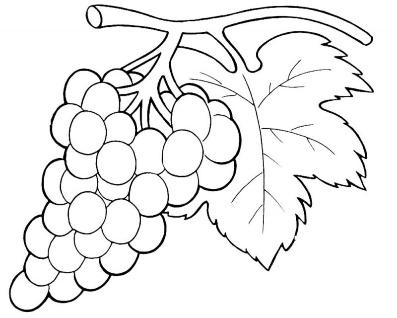 Uva · 19, disegno da colorare