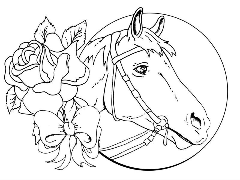 Cavallo · 27, disegno da colorare