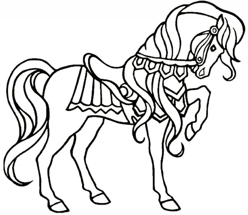 Cavallo · 24, disegno da colorare