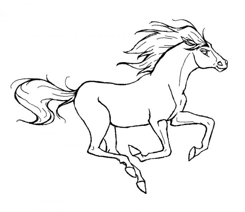 Cavallo · 22, disegno da colorare