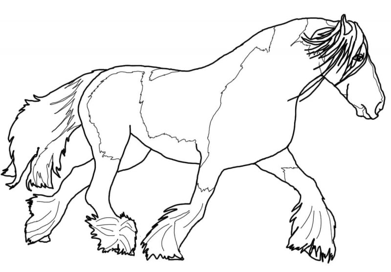 Cavallo · 21, disegno da colorare