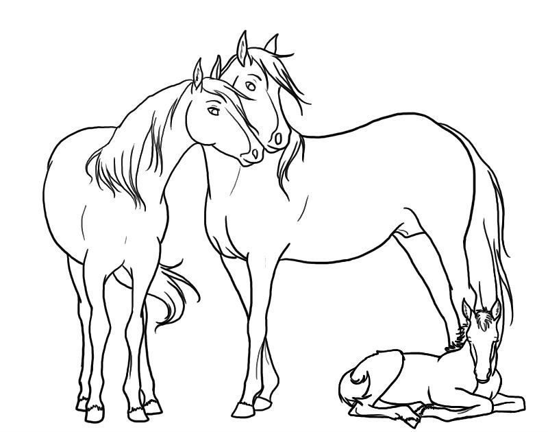 Cavallo · 18, disegno da colorare