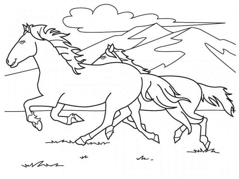 Cavallo · 29, disegno da colorare