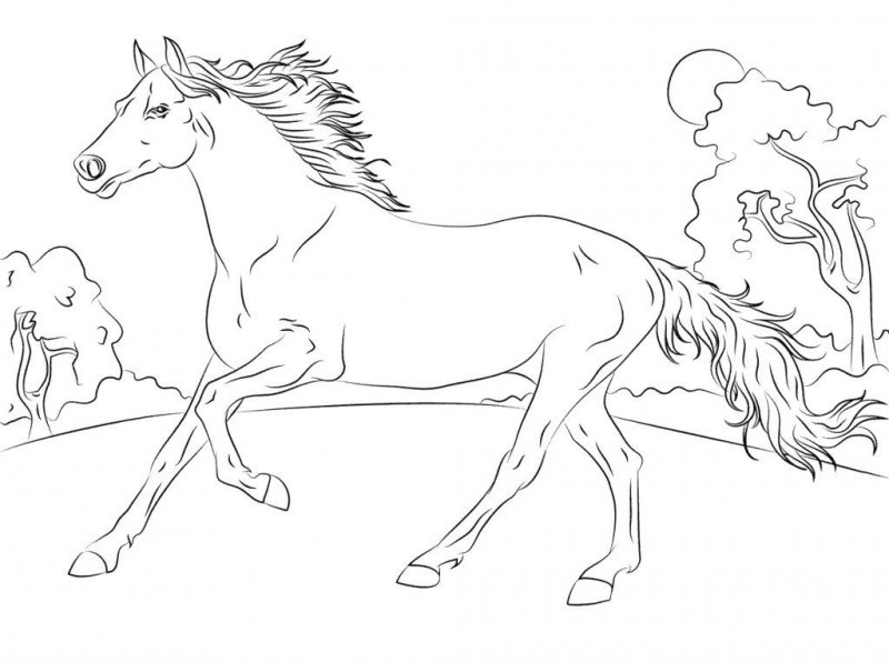 Cavallo · 10, disegno da colorare