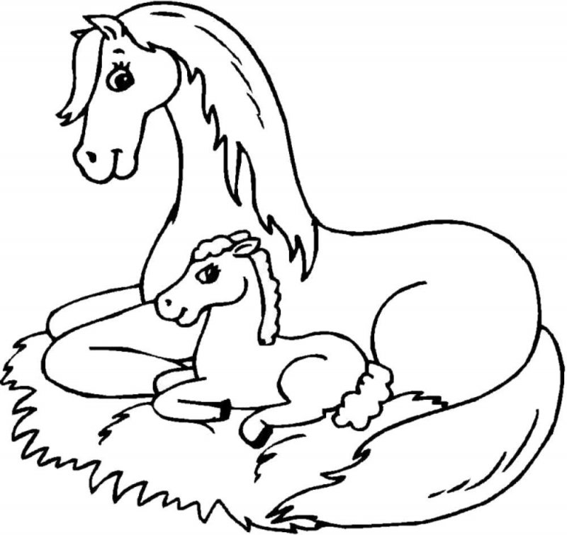 Cavallo · 11, disegno da colorare