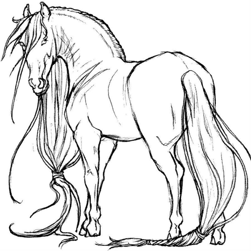 Cavallo · 4, disegno da stampare e colorare