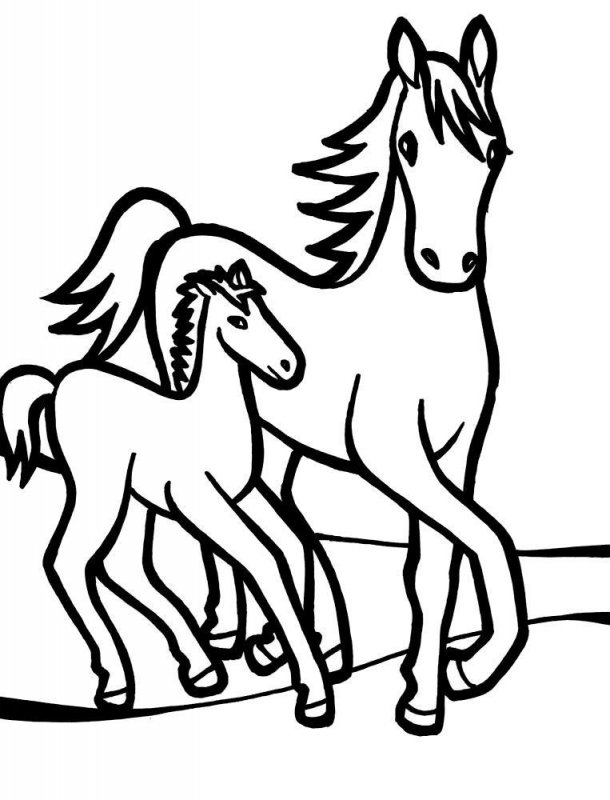 Cavallo · 2, disegno da stampare e colorare