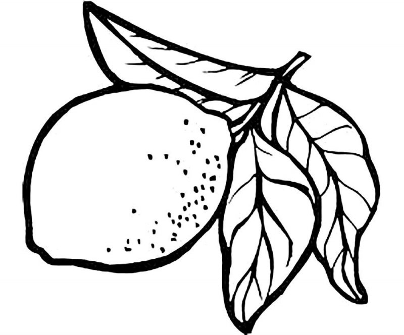 Limone · 1, disegno da stampare e colorare