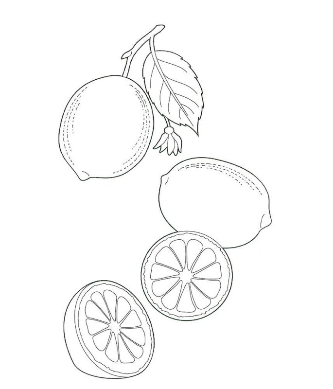 Limone · 3, disegno da stampare e colorare