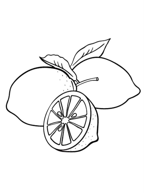 Limone · 4, disegno da stampare e colorare