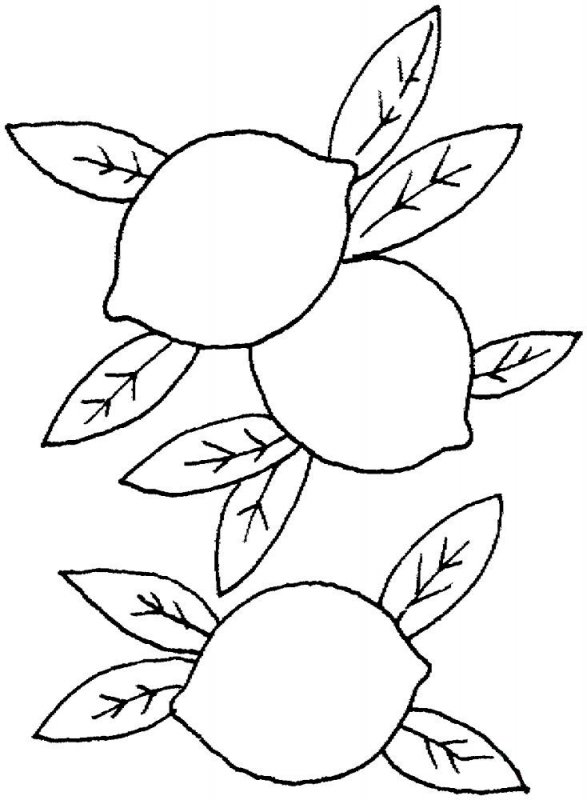 Limone · 7, disegno da colorare