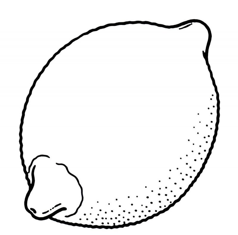 Limone · 13, disegno da colorare