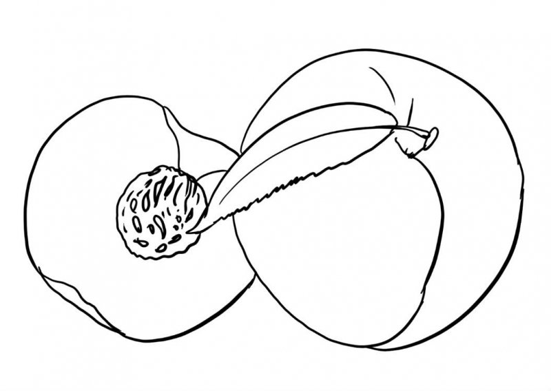 Pesca · 1, disegno da stampare e colorare