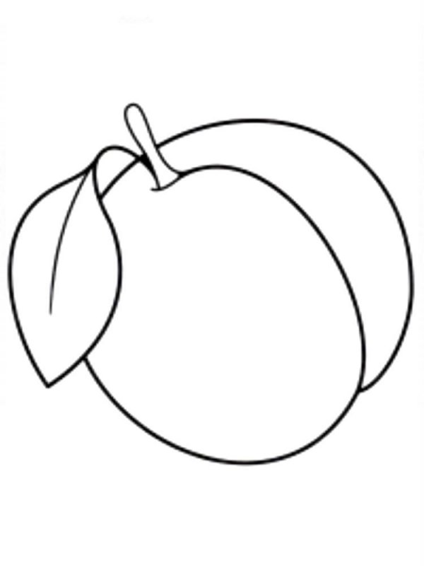 Pesca · 5, disegno da stampare e colorare