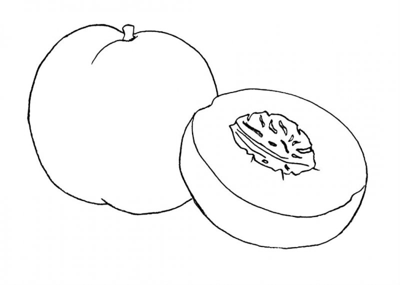 Pesca · 7, disegno da colorare